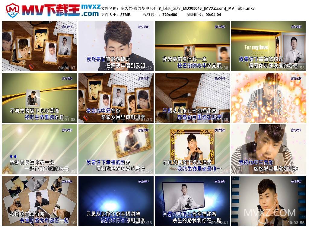 金久哲-我的梦中只有你_国语_流行_MD305048